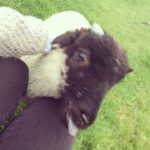 Laura Berlin Instagram – Vielen Dank für euer Feedback zu #Blaumacher! :)) Ich bin sehr happy und gespannt, wie euch die nächste Folge gefallen wird! ;) Heute gehts für mich wieder nach Hause, back to Berlin. Vermisse Irland jetzt schon…..🇮🇪❤️🍀
