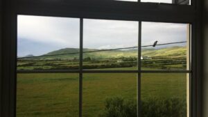 Laura Berlin Instagram - Room with a view. 🇮🇪
