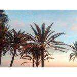 Laura Berlin Instagram - sunset. #grancanaria #workwithfriends @jelena.marija