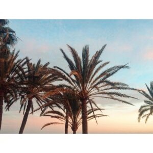 Laura Berlin Instagram - sunset. #grancanaria #workwithfriends @jelena.marija