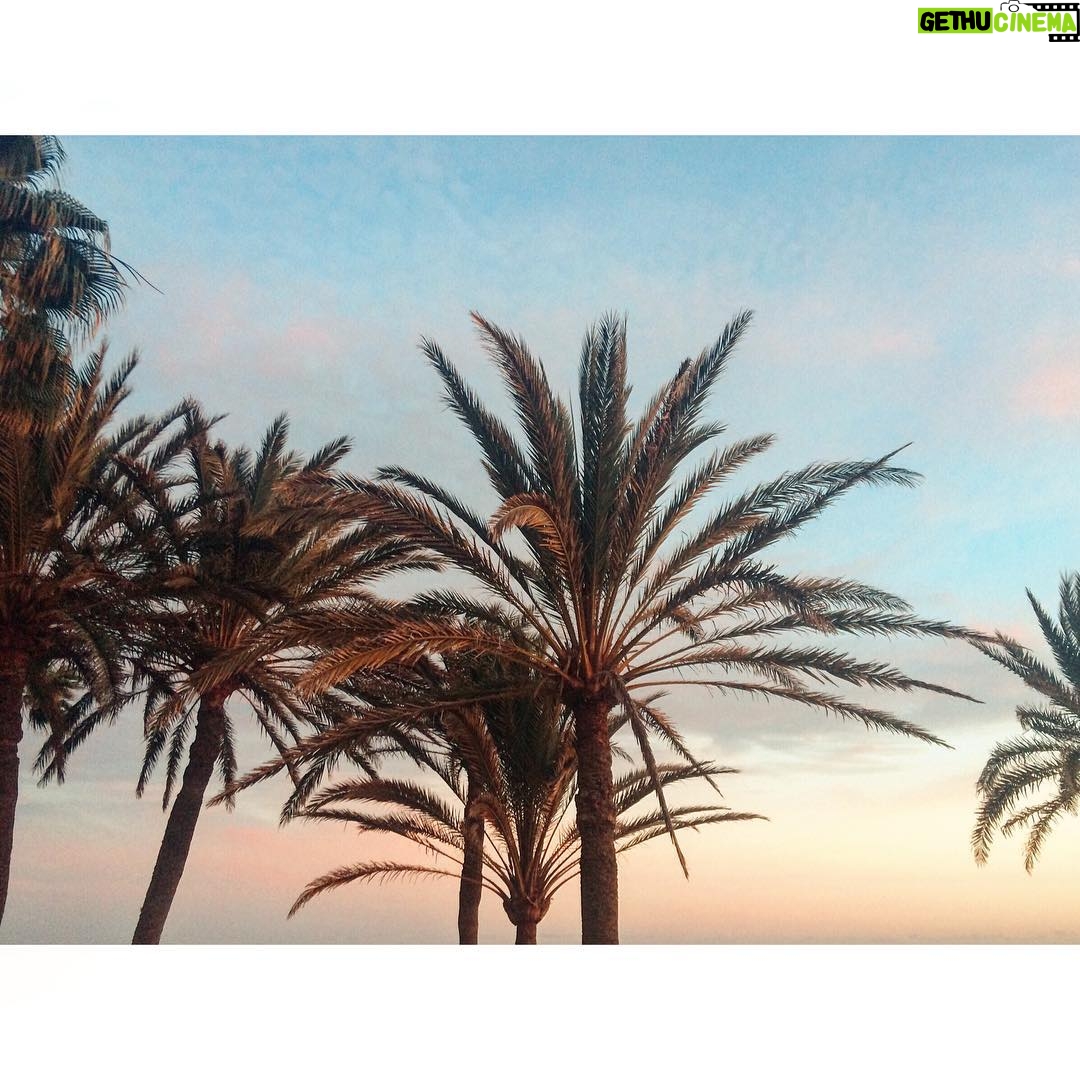 Laura Berlin - 2.9K Likes - sunset. #grancanaria #workwithfriends @jelena.marija
