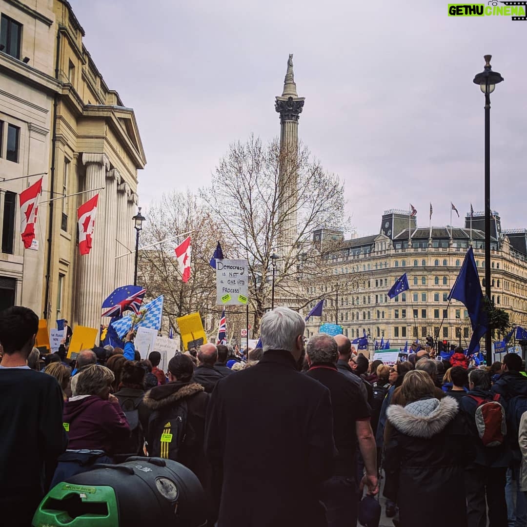 Laura Carmichael Instagram - The sausage dogs have spoken #putittothepeople 🇪🇺