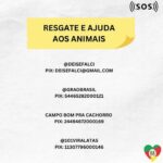 Laura Castro Instagram - vamos juntos ajudar com o que pudermos!! Qualquer ajuda faz a diferença. 🙏🏾