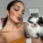 Laura Castro Instagram – minha neném agora tem uma conta no insta!! @cacaudalau pra quem quiser acompanhar mais de perto essa bolinha de pelo linda da minha vida 🥰🐶