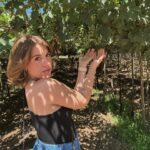 Laura Esquivel Instagram – que fruta noble el vino 🍷🍇

ya te extraño Mendoza 🫶🏻.. pero para no extrañarte tanto estoy armando vlogs en TikTok.. pueden ir a verlos en el link que está en mi Bio 😉 así compartimos juntos un poco de mi viaje.
