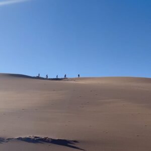 Laura Gómez Instagram - Chile has been quite the journey. San Pedro de Atacama was pure magic. (I highly recommend @planificotusviajes for this trip!) 
• 
Chile ha sido un viaje fascinante, divertido y transformador. San Pedro de Atacama, increíblemente mágico. Conocí gente muy linda por acá. Agradeciendo enormemente a @pablocapuz que me conectó con @planificotusviajes para organizar mi estadía y todas mis actividades por estos predios. Paulina, que lleva esta agencia es lo más. ¡Gracias Pau! 🌹 

Algunas cosas lindas que disfruté por acá: 
-Mi estadía en @ckoiatacamalodge, alimentar a las llamas y mi cabalgata por el desierto con sus caballos. - La comidita casera de @deliciasdecarmen 
- La bella energía de Ángel y su hija Armonía @sobarzorojas que cantan una exquisita música en vivo en @karavan.resto (donde un uruguayo llamado Rodrigo me preparó el mejor Pisco Sour de mi vida) 
- El tour Astronómico -que me incluyó Paulina- en el que @luzdeastros.sp toma una fotografía excepcional con el firmamento. 
-Un relajado cafecito en @cafeandino.sp 
-La orfebrería de San Pedro en general…

Querido San Pedro… me voy, pero vuelvo… 🫶🏽