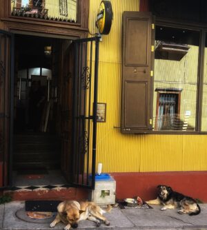 Laura Gómez Instagram - Valparaíso po…