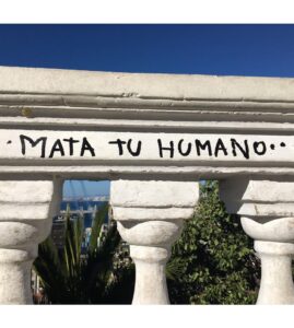 Laura Gómez Instagram - Valparaíso po…