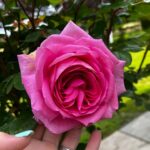 Laura Kenny Instagram – @ok_mag offered me a platform to talk about mine and @jasonkenny107 baby loss. Telling the story never getās easier but if we donāt talk about baby loss people will continue to feel lonely and lost, just like we did. I hope sharing our story in full can help others with their pain and feelings š¤
Link to our story is in my bio. I can only thank @ok_mag for helping tell our story and for making a donation to both @ectopicpregnancy and @babyloss š