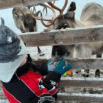 Laura Kenny Instagram – We went to Lapland 5 years ago just the two of us and it was so magical. This year we took Albie along and I feel so full of Christmas happiness. Seeing his little face so happy for the four days melted my heart. I have far too many photos to share. So here is just a few 🎄🎅🏻🤶🏻