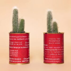 Laura Laune Instagram - Dispo sur Trashh.fr 😍

Pour la Saint-Valentin, je revends les commentaires sexistes que je reçois tous les jours sur mes réseaux 👩‍💻🌵 Je les ai mis sur des cactus pour prévenir que c’est un cadeau un peu piquant 🌝 Et pour que les auteurs de ces messages soient utiles au monde, pour chaque cactus, 1€ est reversé à l’ @association_respect_zone qui lutte contre le cyber-harcèlement 👩‍💻 

#RecyclageDeLaConnerieHumaine ♻️