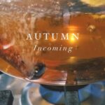 Laura Lentz Instagram - Its my favourite season & It actually feels like fall today 🥹… last year my simmer pots were something you wanted more of! So I have created an Etsy store & I will personally make & ship them to you (unless I get too overwhelmed & shut it down🤣). These make great gifts for the holidays or for individual use in your own home! Perfect way to create a feeling of warmth in your home 🍂🍁 HAPPY HOLIDAYS! go to my store https://laurajaynestudio.etsy.com - I’ll link in my bio!