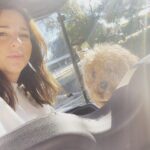 Laura Lentz Instagram - school pick up with my little clinger ☀️