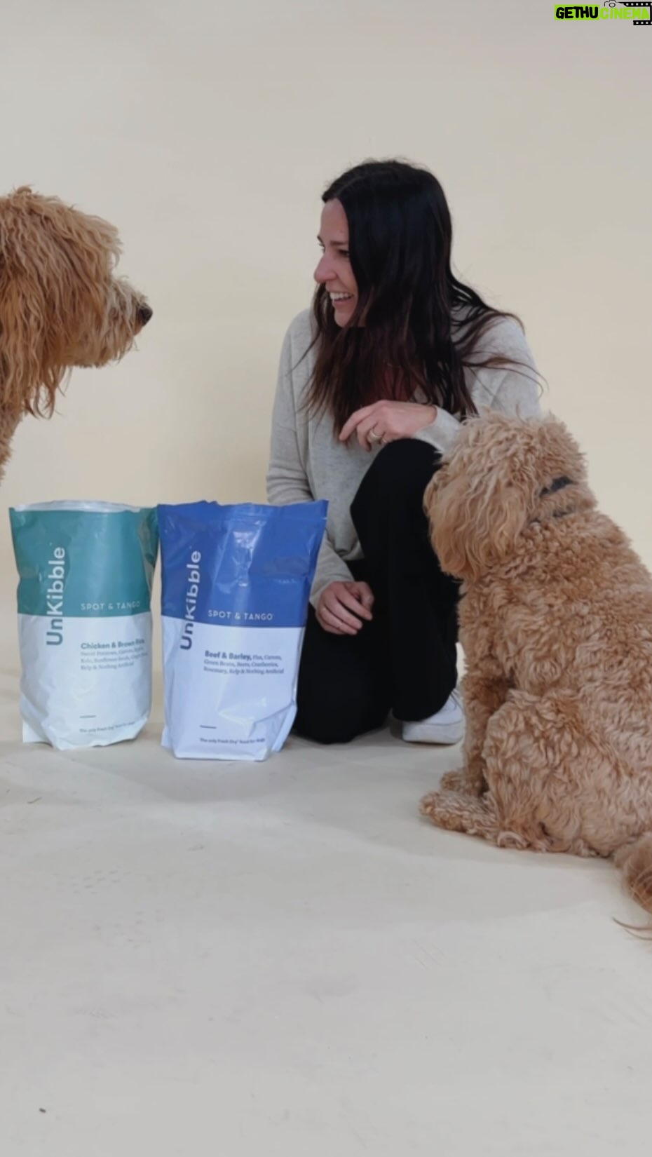 Laura Lentz Instagram - So happy to partner with @spotandtango … the UnKibble dog food has been so convenient! It is delivered to my house and is customized for each dog! Use my 50% off code to try UnKibble for your dogs! #spotandtangopartner Click the link in my bio to use my 50% off code LAURA50