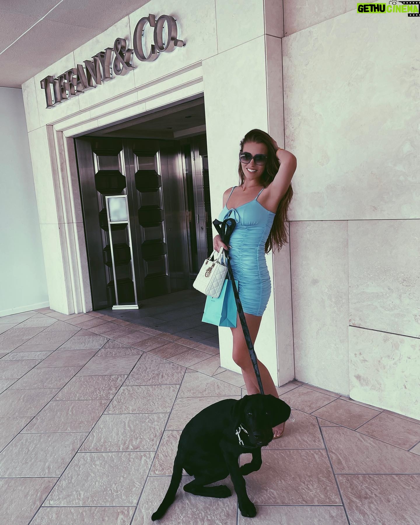 Laura Müller - 20.7K Likes - my Tiffany dog🥺💙 Tigers first time at @tiffanyandco