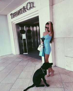 Laura Müller Instagram - my Tiffany dog🥺💙 Tigers first time at @tiffanyandco
