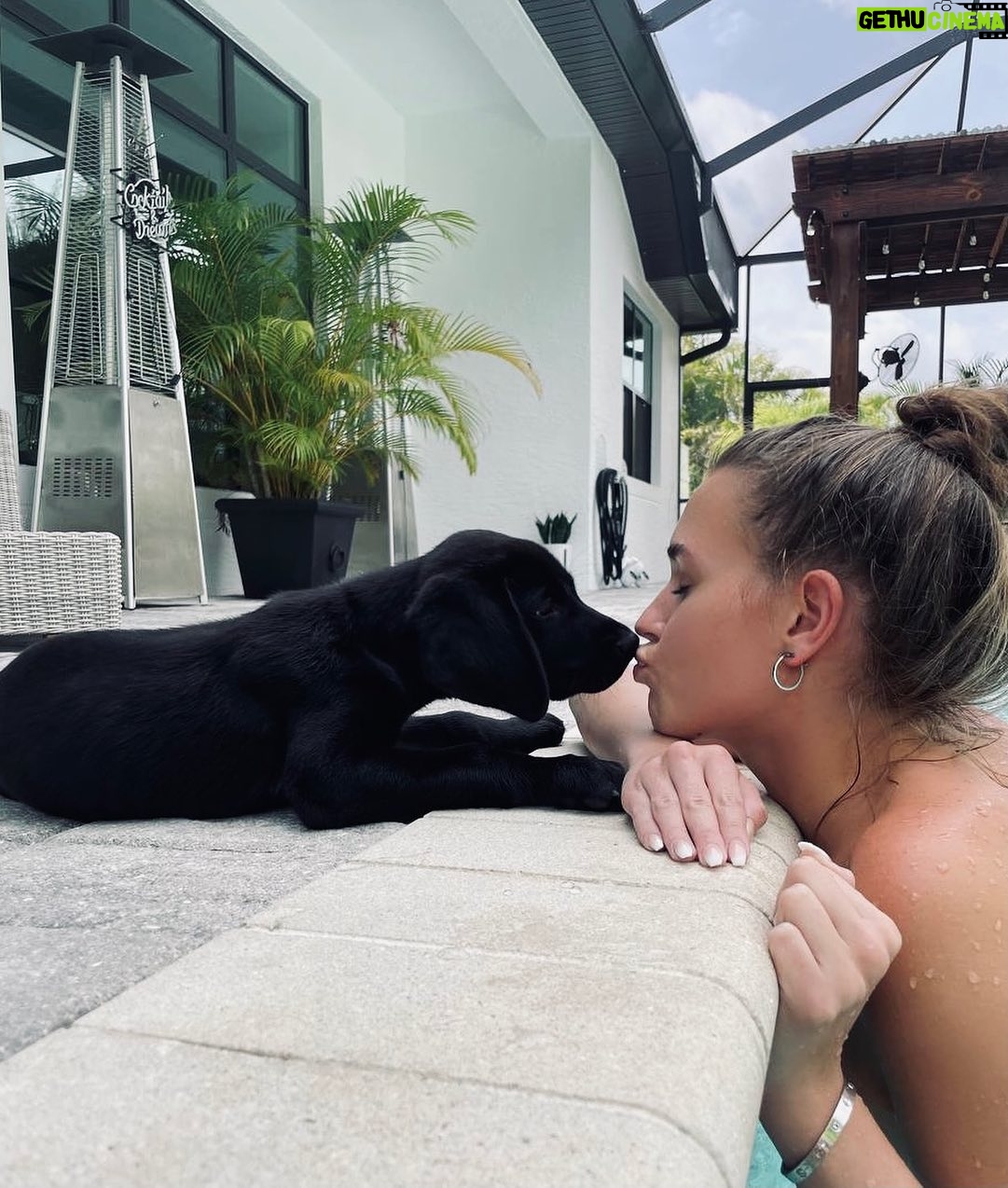 Laura Müller - 33.4K Likes - baby tiger🐾