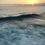 Laura Osma Instagram – Abril me recibió con un tsunami y me dejó naufragando en un mar desconocido; perdida y con la pérdida de todo lo que alguna vez di por conocido. 
En medio de la nada vi la muerte. El fin. El vacío y el silencio. 
Ese silencio que es azul oscuro como las profundidades del océano. 
Donde respirar es imposible y se siente estar muy vivo.
En esa inmersión de lo que desconocemos, regresamos al útero de nuestra madre. De donde venimos y buscamos resguardo. 

Con cada muerte hay un nacimiento y como aquel que abre los ojos, en el primer parpadeo vi borroso; como también veía una luz en la superficie. 
Entre más hondo me encontraba, más tenía que nadar despacio. 
Sabía que cuando recibiera los primeros rayos de sol y regresara a la tierra, iba a llegar a una tormenta. 
Darme vida nuevamente no iba a ser fácil. Era consciente que entre más la tempestad me quisiera ahogar me estaba empujando en ir hacia adelante. Quería ayudarme a volar. 
Entonces me vi bailando encima de las olas como lo había deseado alguna vez. Podía bailar entre la lluvia y el mar. 
Había tanta agua dentro de mí que al final todo se volvió sublime y la única manera de darle sentido era ver la vida oníricamente. Aceptar que cada ola que me enviara… iba a ser un respiro de vida. 
🌼🐒🩵