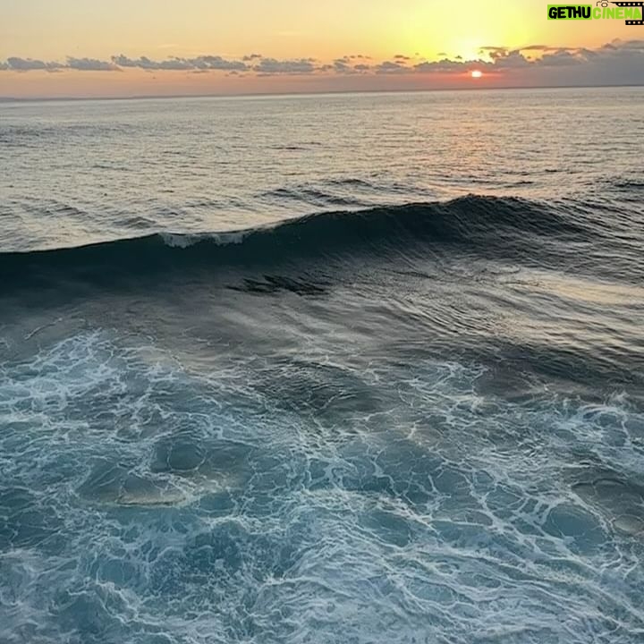 Laura Osma Instagram - Abril me recibió con un tsunami y me dejó naufragando en un mar desconocido; perdida y con la pérdida de todo lo que alguna vez di por conocido. En medio de la nada vi la muerte. El fin. El vacío y el silencio. Ese silencio que es azul oscuro como las profundidades del océano. Donde respirar es imposible y se siente estar muy vivo. En esa inmersión de lo que desconocemos, regresamos al útero de nuestra madre. De donde venimos y buscamos resguardo. Con cada muerte hay un nacimiento y como aquel que abre los ojos, en el primer parpadeo vi borroso; como también veía una luz en la superficie. Entre más hondo me encontraba, más tenía que nadar despacio. Sabía que cuando recibiera los primeros rayos de sol y regresara a la tierra, iba a llegar a una tormenta. Darme vida nuevamente no iba a ser fácil. Era consciente que entre más la tempestad me quisiera ahogar me estaba empujando en ir hacia adelante. Quería ayudarme a volar. Entonces me vi bailando encima de las olas como lo había deseado alguna vez. Podía bailar entre la lluvia y el mar. Había tanta agua dentro de mí que al final todo se volvió sublime y la única manera de darle sentido era ver la vida oníricamente. Aceptar que cada ola que me enviara… iba a ser un respiro de vida. 🌼🐒🩵