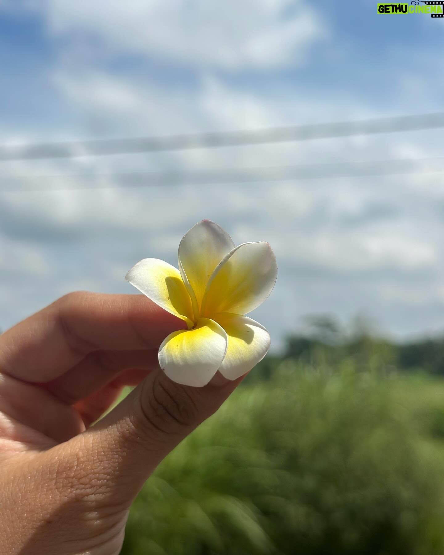 Laura Osma Instagram - Abril me recibió con un tsunami y me dejó naufragando en un mar desconocido; perdida y con la pérdida de todo lo que alguna vez di por conocido. En medio de la nada vi la muerte. El fin. El vacío y el silencio. Ese silencio que es azul oscuro como las profundidades del océano. Donde respirar es imposible y se siente estar muy vivo. En esa inmersión de lo que desconocemos, regresamos al útero de nuestra madre. De donde venimos y buscamos resguardo. Con cada muerte hay un nacimiento y como aquel que abre los ojos, en el primer parpadeo vi borroso; como también veía una luz en la superficie. Entre más hondo me encontraba, más tenía que nadar despacio. Sabía que cuando recibiera los primeros rayos de sol y regresara a la tierra, iba a llegar a una tormenta. Darme vida nuevamente no iba a ser fácil. Era consciente que entre más la tempestad me quisiera ahogar me estaba empujando en ir hacia adelante. Quería ayudarme a volar. Entonces me vi bailando encima de las olas como lo había deseado alguna vez. Podía bailar entre la lluvia y el mar. Había tanta agua dentro de mí que al final todo se volvió sublime y la única manera de darle sentido era ver la vida oníricamente. Aceptar que cada ola que me enviara… iba a ser un respiro de vida. 🌼🐒🩵