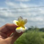 Laura Osma Instagram – Abril me recibió con un tsunami y me dejó naufragando en un mar desconocido; perdida y con la pérdida de todo lo que alguna vez di por conocido. 
En medio de la nada vi la muerte. El fin. El vacío y el silencio. 
Ese silencio que es azul oscuro como las profundidades del océano. 
Donde respirar es imposible y se siente estar muy vivo.
En esa inmersión de lo que desconocemos, regresamos al útero de nuestra madre. De donde venimos y buscamos resguardo. 

Con cada muerte hay un nacimiento y como aquel que abre los ojos, en el primer parpadeo vi borroso; como también veía una luz en la superficie. 
Entre más hondo me encontraba, más tenía que nadar despacio. 
Sabía que cuando recibiera los primeros rayos de sol y regresara a la tierra, iba a llegar a una tormenta. 
Darme vida nuevamente no iba a ser fácil. Era consciente que entre más la tempestad me quisiera ahogar me estaba empujando en ir hacia adelante. Quería ayudarme a volar. 
Entonces me vi bailando encima de las olas como lo había deseado alguna vez. Podía bailar entre la lluvia y el mar. 
Había tanta agua dentro de mí que al final todo se volvió sublime y la única manera de darle sentido era ver la vida oníricamente. Aceptar que cada ola que me enviara… iba a ser un respiro de vida. 
🌼🐒🩵