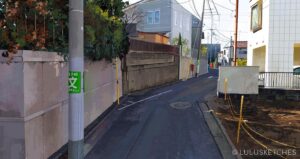 Laura Price Instagram - mapcrunch study painted in #procreate! somewhere in tokyo. I painted this for a speedpaint but my ipad didn’t save the recording 🙂