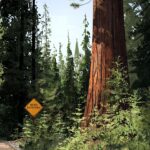 Laura Price Instagram - yosemite 🌲 #photoshop #painting