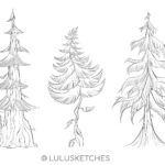 Laura Price Instagram – evergreens for a personal project 🌲 #twilight #forks
