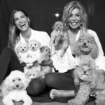 Laura Sánchez Instagram - Mi consuegra perruna cumple años… ella tan auténtica, tan leal, tan curranta y tan divertida… siempre me tiene enganchada a su conversación!!! Eres un ser MARAVILLOSO Bibiana!!! Te deseo un feliz día cariño!!! Te quiero 💙 @thedevilisawoman #nuestrosperritos