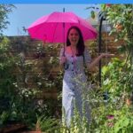 Laura Tobin Instagram – βοΈ I can make it rain @rhschelsea @flood_resilient_garden
