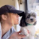Laura Vandervoort Instagram - Grateful for every year we get together. Little Franks will be 12 this year. That means we’ve spent 10 years together. She changed my life and I am forever grateful for her. Thank you @lhasahappyhomes 🫶🏻 @frankie_blueeyes