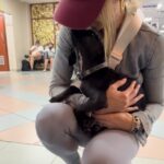 Laura Vandervoort Instagram - While in St. Lucia we saw so many stray dogs and it broke my heart we couldn’t save them all. But I knew we had a couple of passengers coming home with us, which made it a little easier. — There is an incredible animal rescue in St. Lucia called @helpaws (I heard about them because my sister got her dog, Maple from them) — So, we signed up to by ‘Flight Parents’ to bring back two adorable puppies, ‘Meeka’ and ‘Artie’ (brothers) to their wonderful foster families. Helpaws made the transition to the airport, paperwork and the foster hand off seamless. The dogs were so well behaved and quiet. We met awesome foster families at the airport who will take great care of them until they are adopted. If you’re in Canada — Artie and Meeka are available for adoption and the best little guys. We fell in love with them right away. If you’re interested in fostering or adopting in general (Not just in Canada) please check out @helpaws as they are in need of more foster families, flight parents and forever home adopters! The staff at @helpaws were so communicative and kind. They work hard to try to give these little ones a better future and you can be a part of that. Please check them out. 🫶🏻🐶🫶🏻