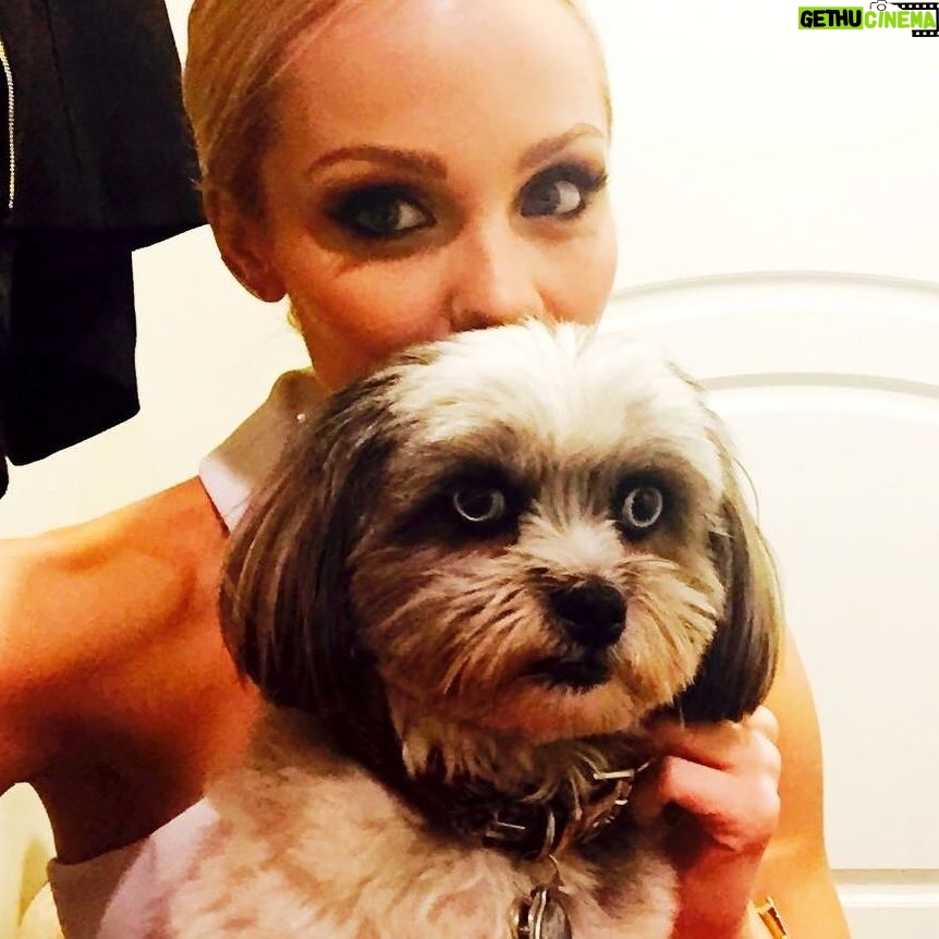 Laura Vandervoort Instagram - 🎉🥰🎉🎂 Frankie. Franklin. Bubs. Baby girl. Peanut. Franks. It’s your (approximate) birthday today. It’s your ‘Got You Day.’ 10 years ago today, @frankie_blueeyes looked up at me from an adoption rescue day in Los Angeles through @lhasahappyhomes 10 years ago we locked eyes. You were the loudest dog there. I asked if I could pick you up. When I did, you snuggled in and stopped barking &I knew it was you I’d been looking for. You made sure you got my attention (and you still do this) and I immediately asked if I could take you home that day. I wasn’t letting you out of my sight again. I was told they found you downtown Los Angeles under a bus stop. Your hair was matted to your face and overgrown. I wondered who could ever let you go. Your human eyes and your spunky personality. But it didn’t matter, because you found your way home. We have been through ALL of the ups and downs together. Traveled all over. You’ve been on movie sets, airplanes and more. You have been my constant companion. My joy. My baby girl. The vet said you were about 2 years old the day I brought you home, so today… you’re (about) 12! Wow, 12! You still have so much spunk and personality. You pee like a male dog & have the confidence of a Rottweiler. You bark at squirrels (and have caught 2 which made me panic but they got away 🤣.) You love to just sit in the yard and stare at the sky. You’ve made my life a thousand times better being in it. Taught me how to care for another living creature and how to be a little more patient. You’re my soul-dog. I’d do literally anything for you. My main goal in buying my first home was purely so that you would have a yard to sit in and stare at squirrels and birds, and you do. 🥰 Thank you for choosing me to be your Momma. Happy Birthday to the bestest girl. I love you with all my heart.