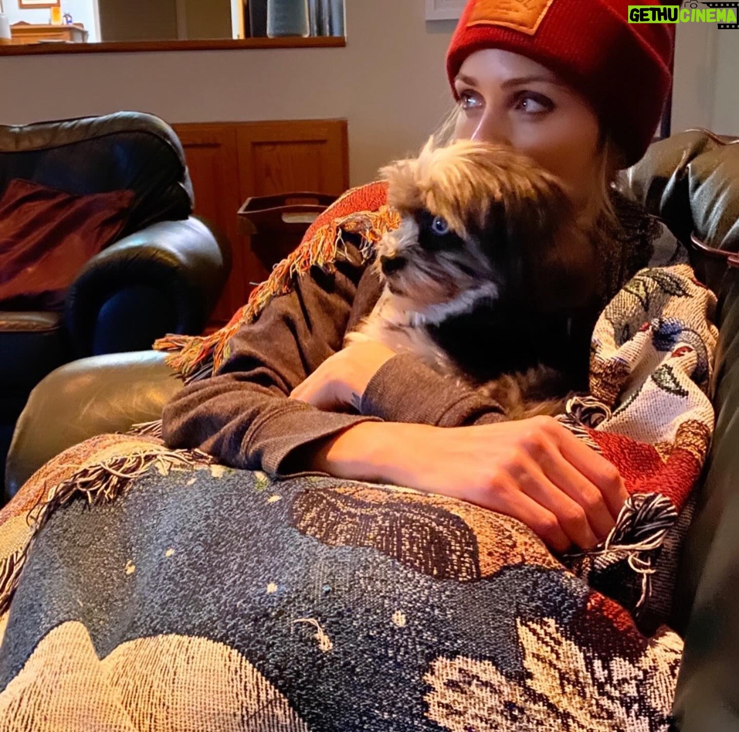Laura Vandervoort Instagram - 🎉🥰🎉🎂 Frankie. Franklin. Bubs. Baby girl. Peanut. Franks. It’s your (approximate) birthday today. It’s your ‘Got You Day.’ 10 years ago today, @frankie_blueeyes looked up at me from an adoption rescue day in Los Angeles through @lhasahappyhomes 10 years ago we locked eyes. You were the loudest dog there. I asked if I could pick you up. When I did, you snuggled in and stopped barking &I knew it was you I’d been looking for. You made sure you got my attention (and you still do this) and I immediately asked if I could take you home that day. I wasn’t letting you out of my sight again. I was told they found you downtown Los Angeles under a bus stop. Your hair was matted to your face and overgrown. I wondered who could ever let you go. Your human eyes and your spunky personality. But it didn’t matter, because you found your way home. We have been through ALL of the ups and downs together. Traveled all over. You’ve been on movie sets, airplanes and more. You have been my constant companion. My joy. My baby girl. The vet said you were about 2 years old the day I brought you home, so today… you’re (about) 12! Wow, 12! You still have so much spunk and personality. You pee like a male dog & have the confidence of a Rottweiler. You bark at squirrels (and have caught 2 which made me panic but they got away 🤣.) You love to just sit in the yard and stare at the sky. You’ve made my life a thousand times better being in it. Taught me how to care for another living creature and how to be a little more patient. You’re my soul-dog. I’d do literally anything for you. My main goal in buying my first home was purely so that you would have a yard to sit in and stare at squirrels and birds, and you do. 🥰 Thank you for choosing me to be your Momma. Happy Birthday to the bestest girl. I love you with all my heart.
