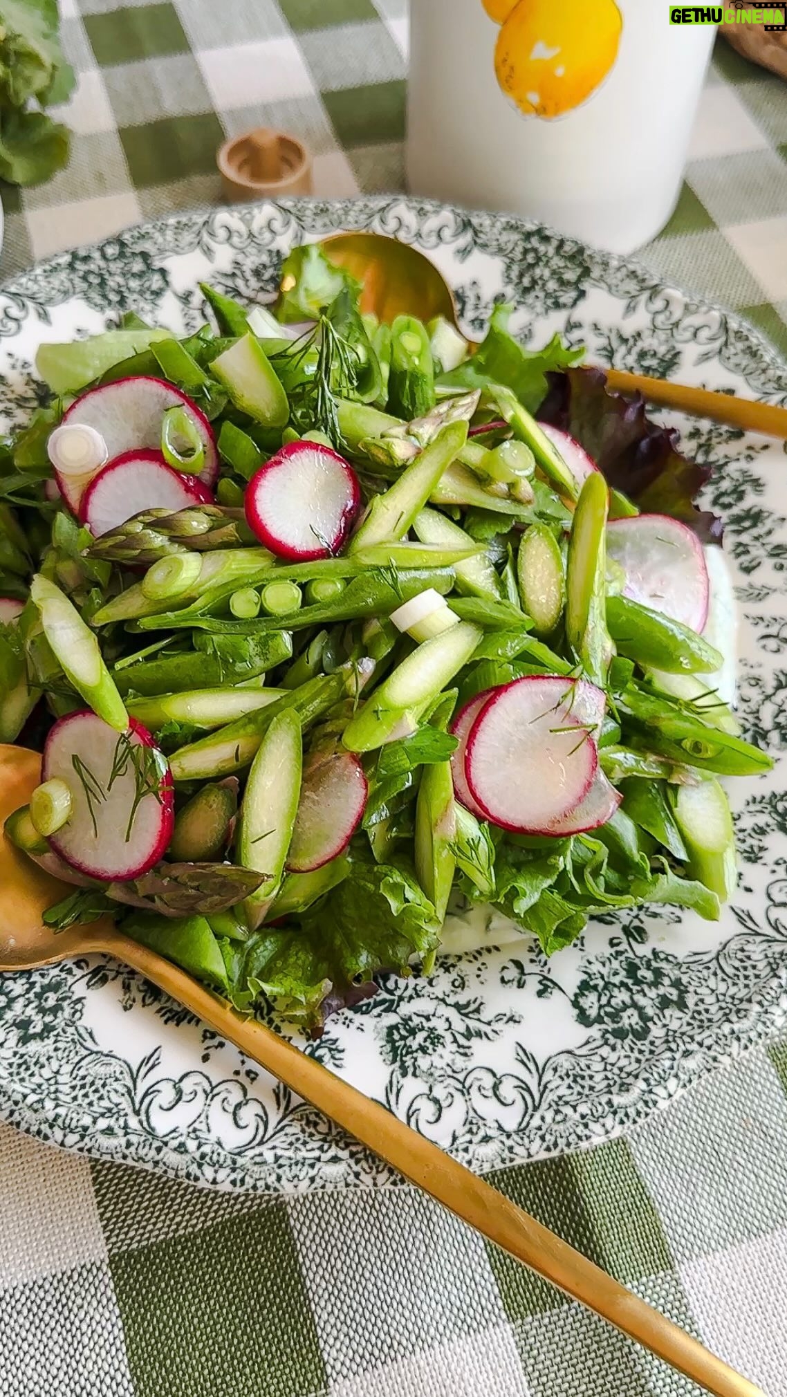 Laura Vitale Instagram - So unbelievably easy and sooooooo delicious!!!!! For the dressing I used the following: 1/2 cup Greek yogurt 1/4 cup dill (loosely packed) 1/4 cup of Parsley (loosely packed) Clove of garlic Juice of 1 lemon 2tbsp of Extra Virgin olive oil Salt to taste Veggies used: 1/2 bunch of asparagus Handful of sugar snaps Radishes Scallions Baby green and red leaf lettuce Dill and parsley Extra virgin olive oil Lemon juice Parsley