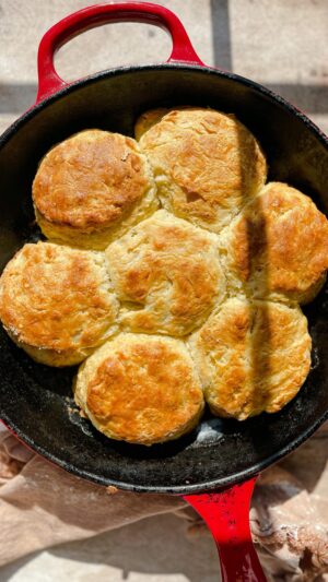 Laura Vitale Instagram - Buongiorno! I need you to picture this because maybe I’m boring as heck but just imagine a 62 degree day, a pot of soup simmering away, your favorite candle lit in the entryway, afternoon coffee simmering and as dinner time gets closer, you whip up a batch of flaky buttery biscuits that can double as a soup accompaniment or breakfast with a shmear of butter and jam (I would keep them in the Fridge already formed in a closed container and bake them fresh in the morning, it’s as easy as opening up a can but oh so much better!) I know someone’s grandma makes better biscuits (because any mom and grandma’s cooking will always always always be better than ours) but these are dang on delish! Now doesn’t that sound like the answer to a perfect afternoon that washes your stress away? It sure does for me❤️ recipe on my site and linked in bio! 😘