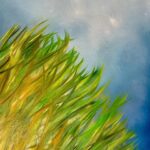 Laurel Holloman Instagram - 12 by 16 oil on Paper for @fiabarcelona at @museumaritim See you in Barcelona #art #abstracts #grass #artist #paintings #collection #oilpainting