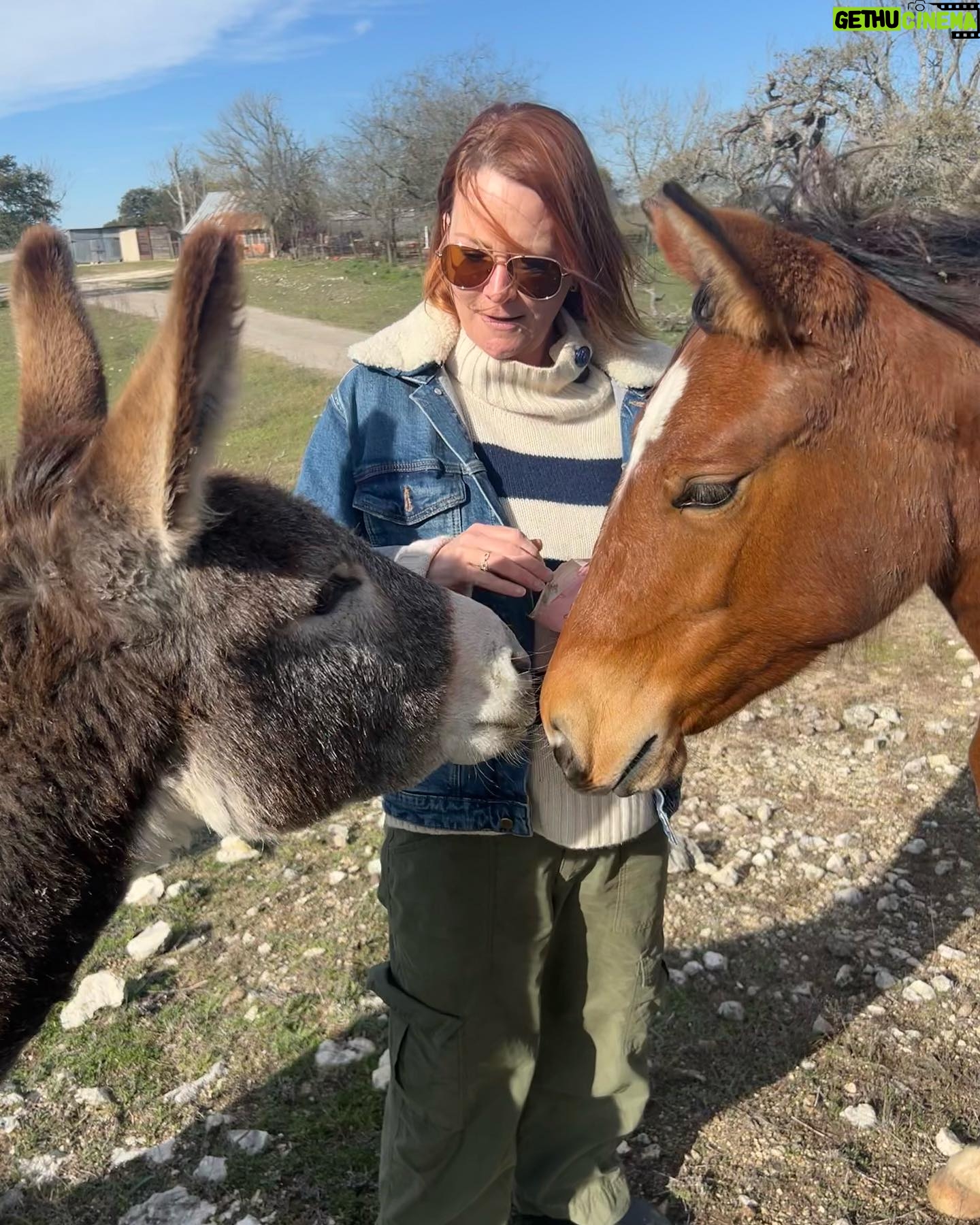 Laurel Holloman - 9.7K Likes - So I had an amazing Sunday visiting a new friend’s ranch where she has a non profit animal rescue . @dayna.ranchlife is a force …. Please follow … more to come. PLEASE FOLLOW. ❤️❤️❤️