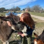 Laurel Holloman Instagram - So I had an amazing Sunday visiting a new friend’s ranch where she has a non profit animal rescue . @dayna.ranchlife is a force …. Please follow … more to come. PLEASE FOLLOW. ❤️❤️❤️