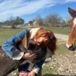 Laurel Holloman Instagram - So I had an amazing Sunday visiting a new friend’s ranch where she has a non profit animal rescue . @dayna.ranchlife is a force …. Please follow … more to come. PLEASE FOLLOW. ❤️❤️❤️