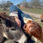 Laurel Holloman Instagram - So I had an amazing Sunday visiting a new friend’s ranch where she has a non profit animal rescue . @dayna.ranchlife is a force …. Please follow … more to come. PLEASE FOLLOW. ❤️❤️❤️