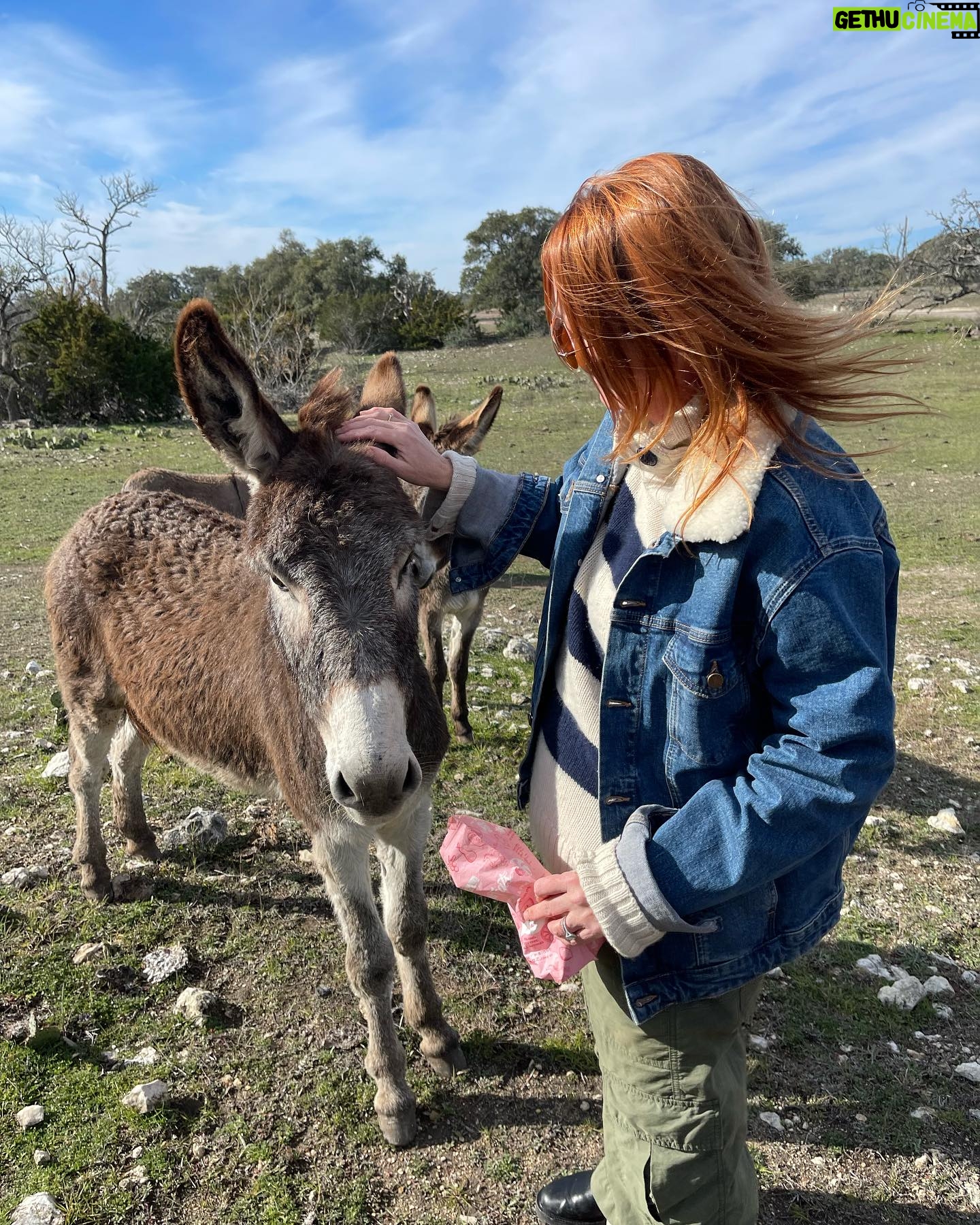 Laurel Holloman - 9.7K Likes - So I had an amazing Sunday visiting a new friend’s ranch where she has a non profit animal rescue . @dayna.ranchlife is a force …. Please follow … more to come. PLEASE FOLLOW. ❤️❤️❤️