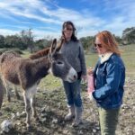 Laurel Holloman Instagram - So I had an amazing Sunday visiting a new friend’s ranch where she has a non profit animal rescue . @dayna.ranchlife is a force …. Please follow … more to come. PLEASE FOLLOW. ❤️❤️❤️