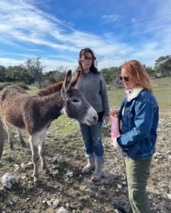 Laurel Holloman Instagram - So I had an amazing Sunday visiting a new friend’s ranch where she has a non profit animal rescue . @dayna.ranchlife is a force …. Please follow … more to come. PLEASE FOLLOW. ❤️❤️❤️
