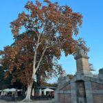 Laurel Holloman Instagram – Madrid