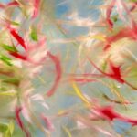 Laurel Holloman Instagram – Splendor in The Grass 16 by 20 inches oil on paper See you November 24th @fiabarcelona @museumaritim in Barcelona, Spain contact @claudinegilgallery for sales