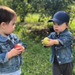 Lauren Collins Instagram – It’s the video at the end for me. Happy Fall Y’all 🍏👬🍎