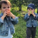 Lauren Collins Instagram – It’s the video at the end for me. Happy Fall Y’all 🍏👬🍎