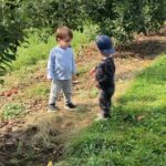 Lauren Collins Instagram – It’s the video at the end for me. Happy Fall Y’all 🍏👬🍎