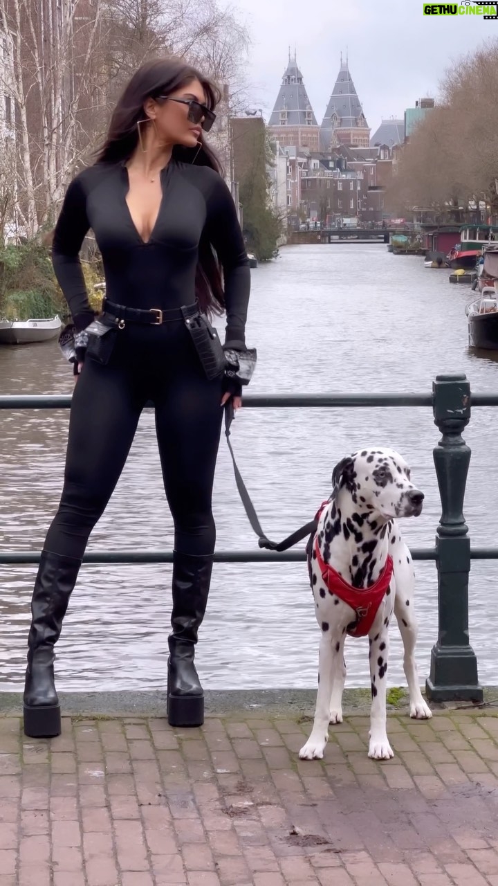 Lauren Cruz - 23K Likes - My baby dog dalmatian 😍❤️🫶🏼